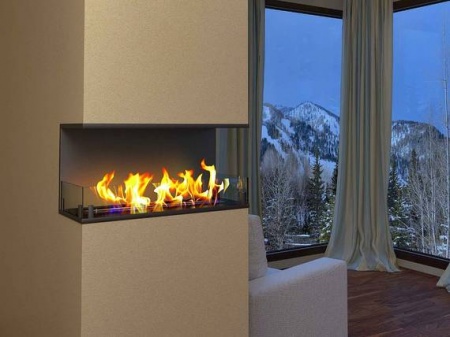 Встраиваемый Биокамин торцевой ZeFire Standart 700 по цене 36 100 руб.